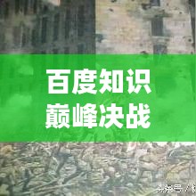 百度知識巔峰決戰(zhàn)，探索未知領域，盡展智慧風采