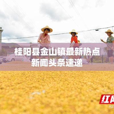 桂陽縣金山鎮(zhèn)最新熱點新聞頭條速遞