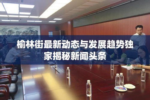 榆林街最新動(dòng)態(tài)與發(fā)展趨勢獨(dú)家揭秘新聞?lì)^條