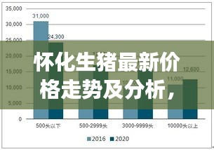 懷化生豬最新價格走勢及分析，市場趨勢與影響因素探討