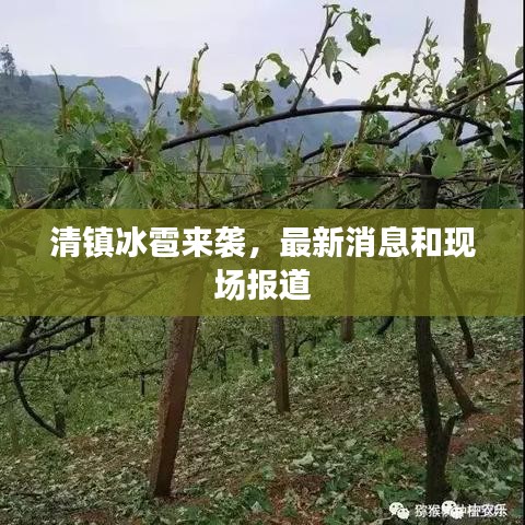 清鎮(zhèn)冰雹來(lái)襲，最新消息和現(xiàn)場(chǎng)報(bào)道
