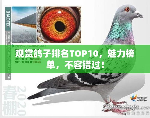 艱苦樸素