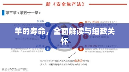 羊的壽命，全面解讀與細(xì)致關(guān)懷