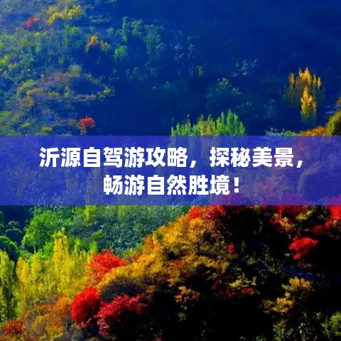 沂源自駕游攻略，探秘美景，暢游自然勝境！