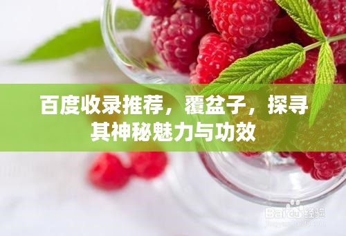 百度收錄推薦，覆盆子，探尋其神秘魅力與功效