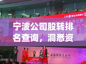 寧波公司股轉(zhuǎn)排名查詢，洞悉資本市場(chǎng)活躍度與趨勢(shì)動(dòng)態(tài)