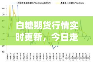 白糖期貨行情實時更新，今日走勢分析與市場洞察