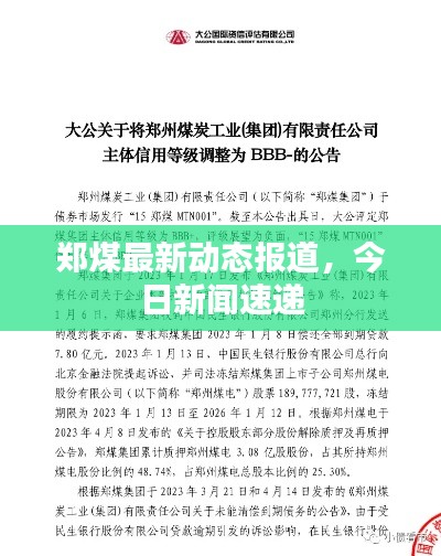 鄭煤最新動(dòng)態(tài)報(bào)道，今日新聞速遞