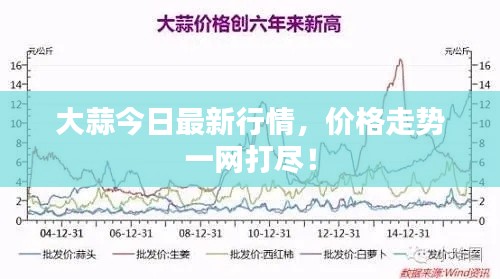 大蒜今日最新行情，價格走勢一網(wǎng)打盡！