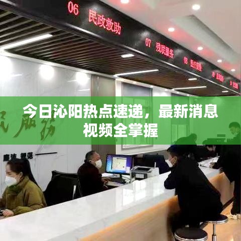 今日沁陽熱點(diǎn)速遞，最新消息視頻全掌握