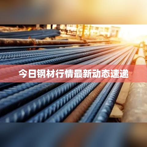 今日鋼材行情最新動態(tài)速遞