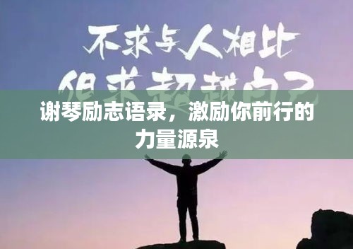 謝琴勵志語錄，激勵你前行的力量源泉