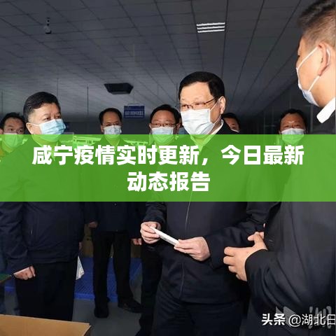 咸寧疫情實(shí)時(shí)更新，今日最新動(dòng)態(tài)報(bào)告