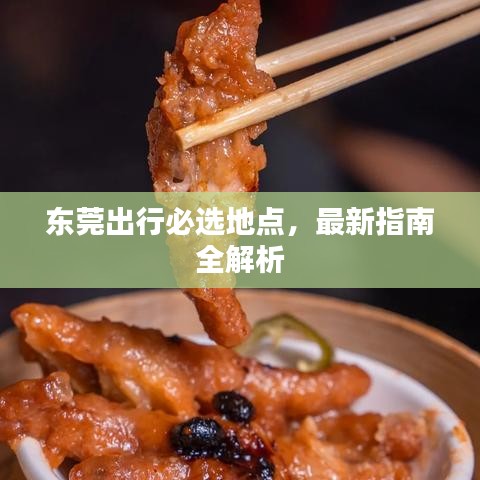 東莞出行必選地點(diǎn)，最新指南全解析