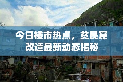 今日樓市熱點(diǎn)，貧民窟改造最新動(dòng)態(tài)揭秘