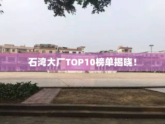 石灣大廠TOP10榜單揭曉！