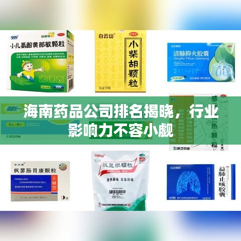 海南藥品公司排名揭曉，行業(yè)影響力不容小覷