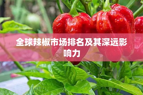 全球辣椒市場排名及其深遠(yuǎn)影響力