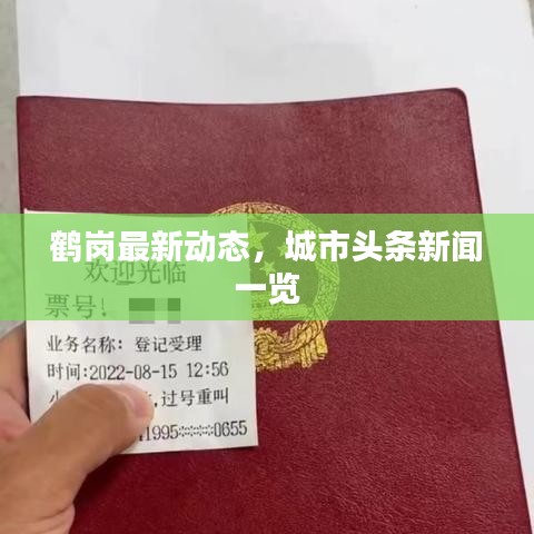 鶴崗最新動態(tài)，城市頭條新聞一覽