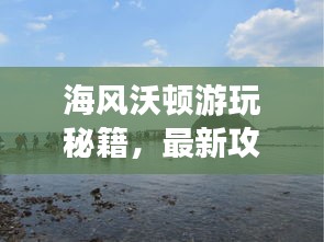 海風(fēng)沃頓游玩秘籍，最新攻略大全