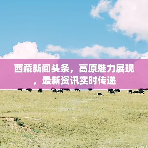 西藏新聞頭條，高原魅力展現(xiàn)，最新資訊實時傳遞