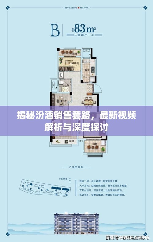 揭秘汾酒銷(xiāo)售套路，最新視頻解析與深度探討