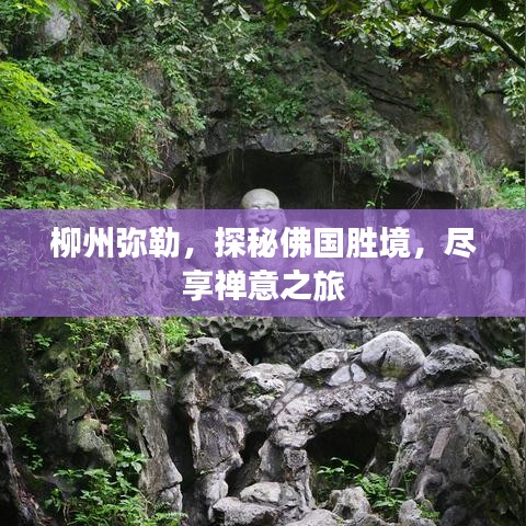 柳州彌勒，探秘佛國勝境，盡享禪意之旅