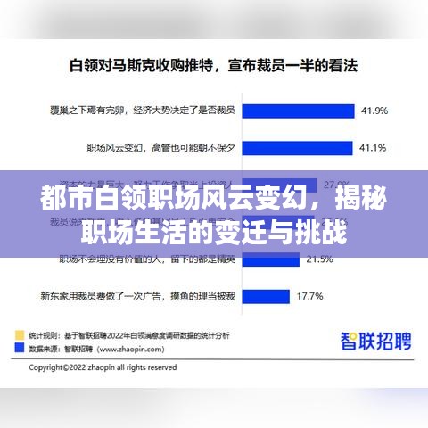 都市白領(lǐng)職場(chǎng)風(fēng)云變幻，揭秘職場(chǎng)生活的變遷與挑戰(zhàn)