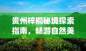 貴州梓桐秘境探索指南，暢游自然美景，體驗獨特文化
