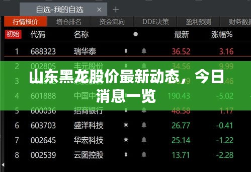 山東黑龍股價最新動態(tài)，今日消息一覽