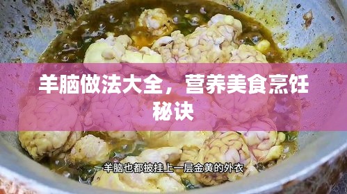 羊腦做法大全，營養(yǎng)美食烹飪秘訣