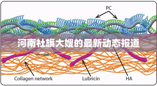 河南社旗大嫂的最新動(dòng)態(tài)報(bào)道