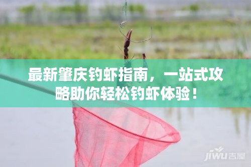 最新肇慶釣蝦指南，一站式攻略助你輕松釣蝦體驗(yàn)！