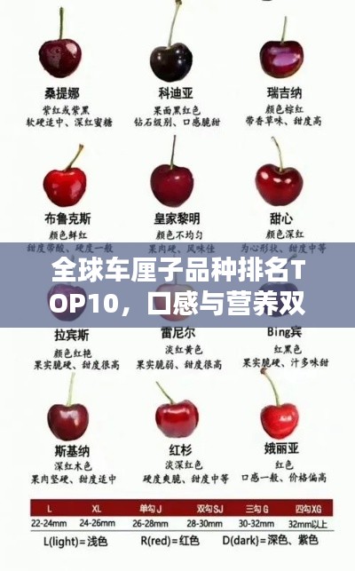 全球車厘子品種排名TOP10，口感與營養(yǎng)雙絕，吃貨必備指南！