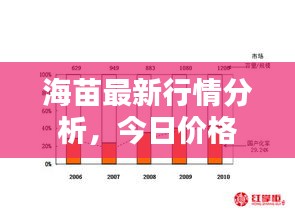 海苗最新行情分析，今日價(jià)格走勢(shì)揭秘