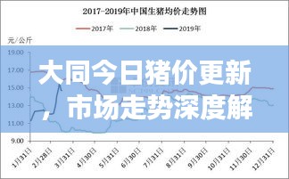 大同今日豬價更新，市場走勢深度解析與影響因素探討