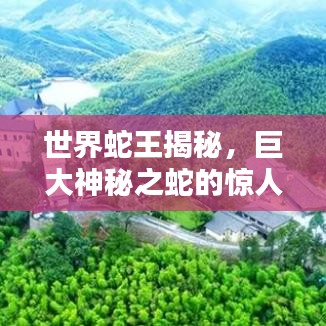 世界蛇王揭秘，巨大神秘之蛇的驚人排名
