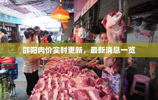 邵陽肉價實時更新，最新消息一覽