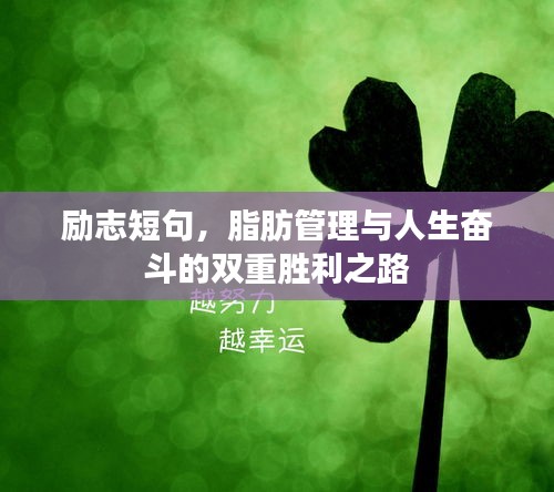 勵志短句，脂肪管理與人生奮斗的雙重勝利之路