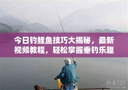 今日釣鯉魚技巧大揭秘，最新視頻教程，輕松掌握垂釣樂趣！