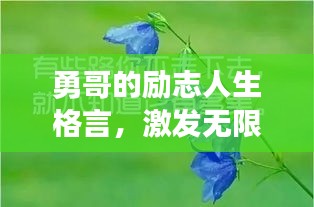勇哥的勵(lì)志人生格言，激發(fā)無(wú)限潛能！