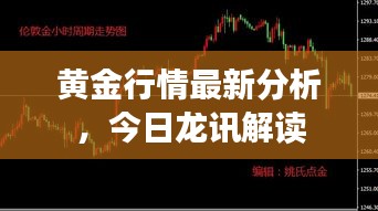 黃金行情最新分析，今日龍訊解讀