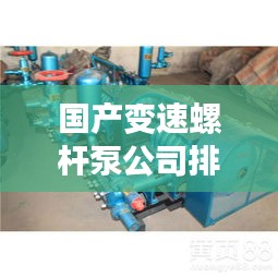 國(guó)產(chǎn)變速螺桿泵公司排行榜及行業(yè)影響力解析