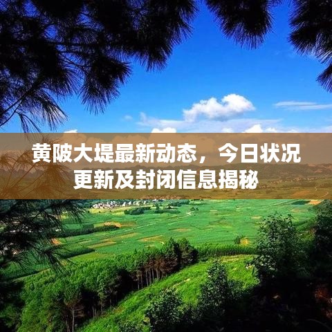 黃陂大堤最新動態(tài)，今日狀況更新及封閉信息揭秘