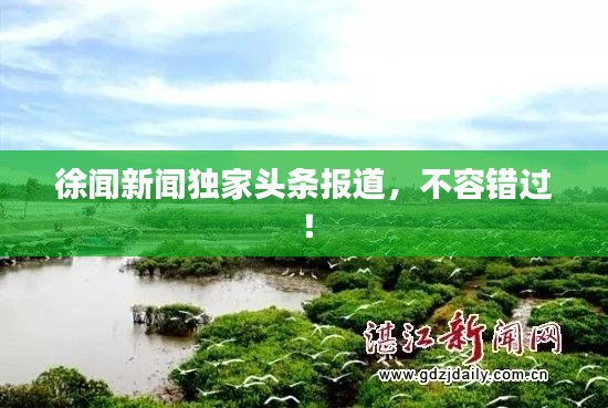 徐聞新聞獨家頭條報道，不容錯過！