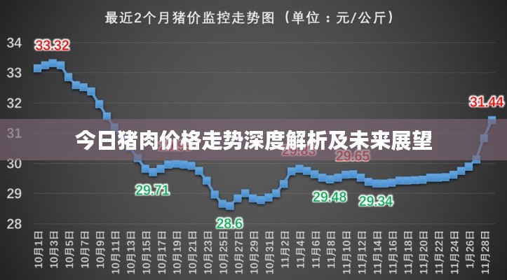 今日豬肉價(jià)格走勢深度解析及未來展望
