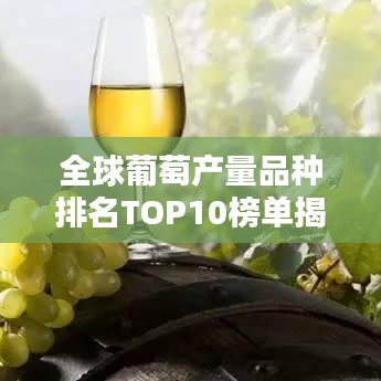 全球葡萄產(chǎn)量品種排名TOP10榜單揭曉