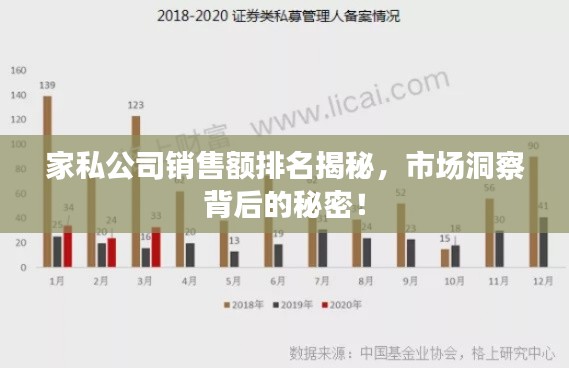 家私公司銷售額排名揭秘，市場洞察背后的秘密！
