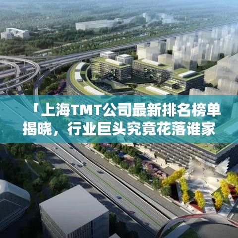「上海TMT公司最新排名榜單揭曉，行業(yè)巨頭究竟花落誰家？」