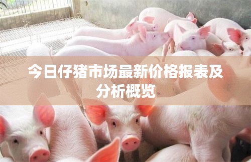今日仔豬市場(chǎng)最新價(jià)格報(bào)表及分析概覽